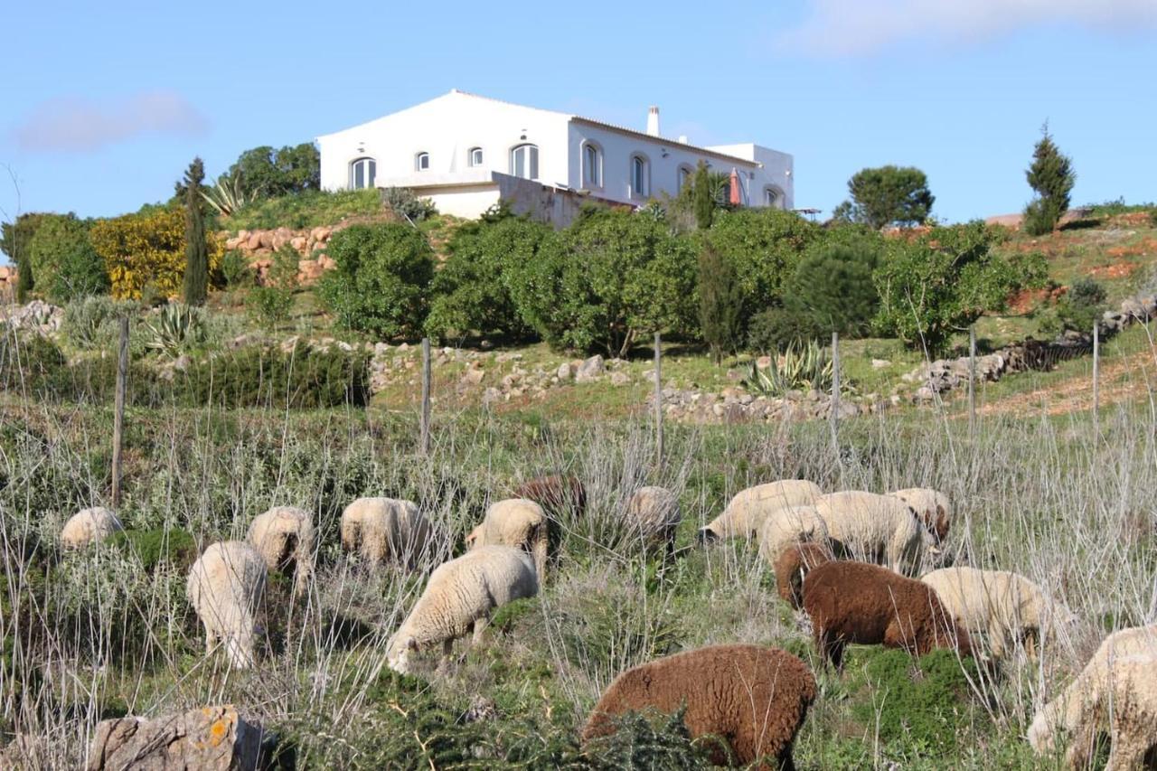 Casa Das Furnas - Eco Home فيلا دو بيسبو المظهر الخارجي الصورة